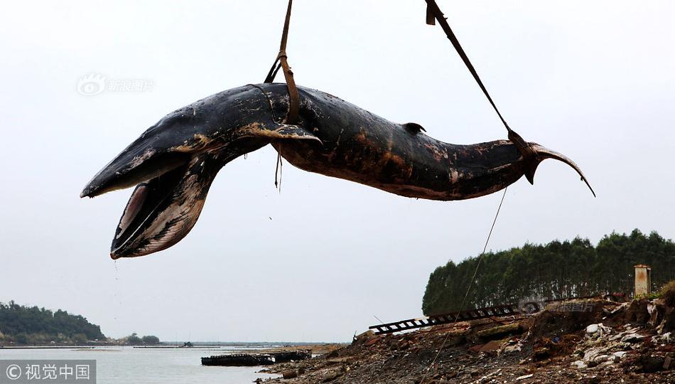 乐竞体育链接入口-浙大女生23年前写的励志标语火了