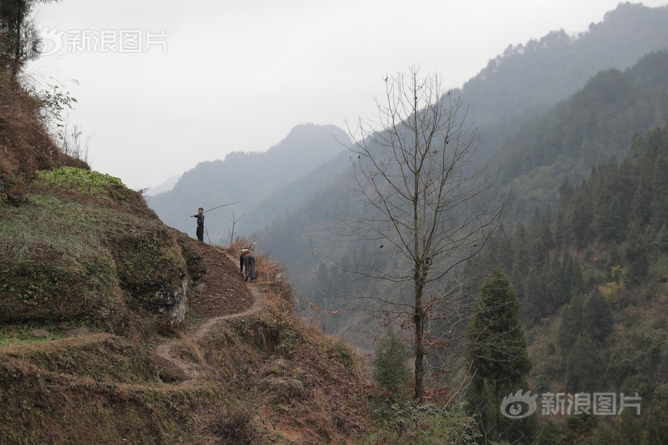 开云苹果下载app-为什么腰椎间盘突出一定要锻炼才能根治�？