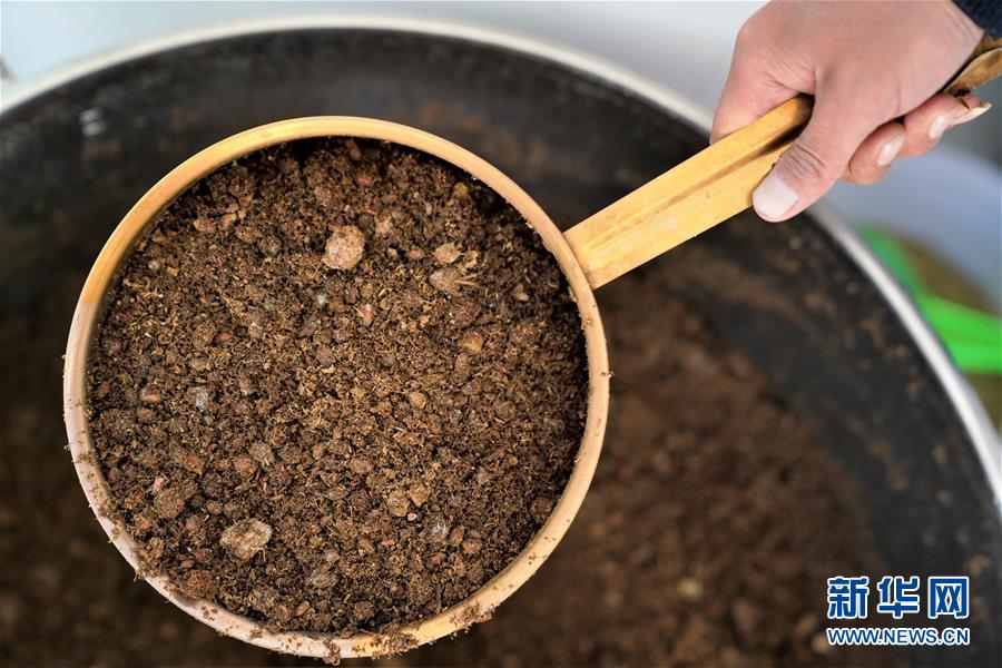 开云电子娱乐-海口一农庄办樱花节 树上是假花？官方通报