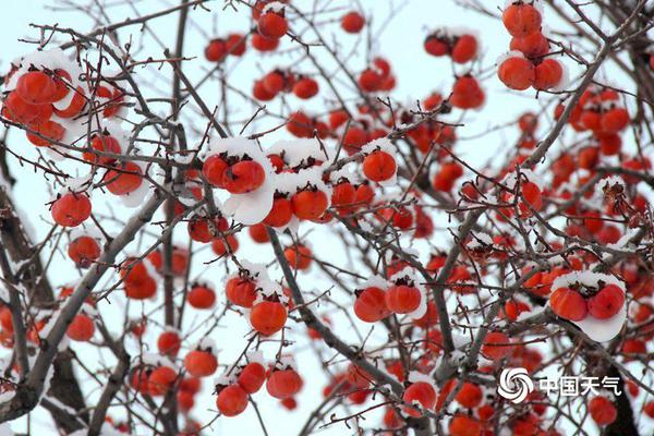 银河十大平台-虐猫考生引发各界关注，媒体：关键在于“官方态度”的中立性