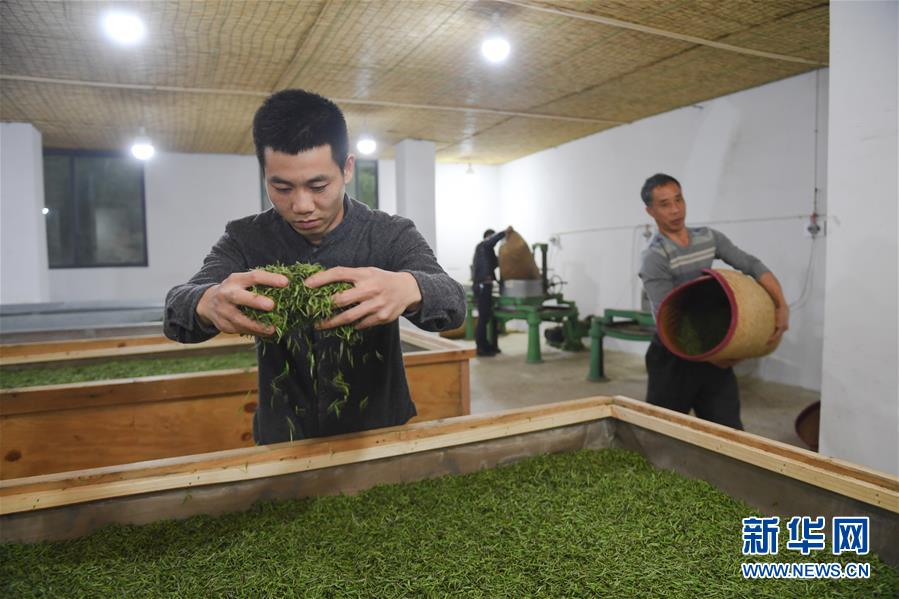 半岛星空体育-举重世界杯李雯雯狂揽三金