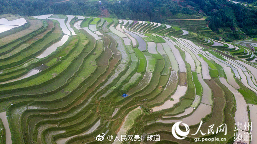 摩杰平台注册开户-伪劣兽药生产销售的黑色链条