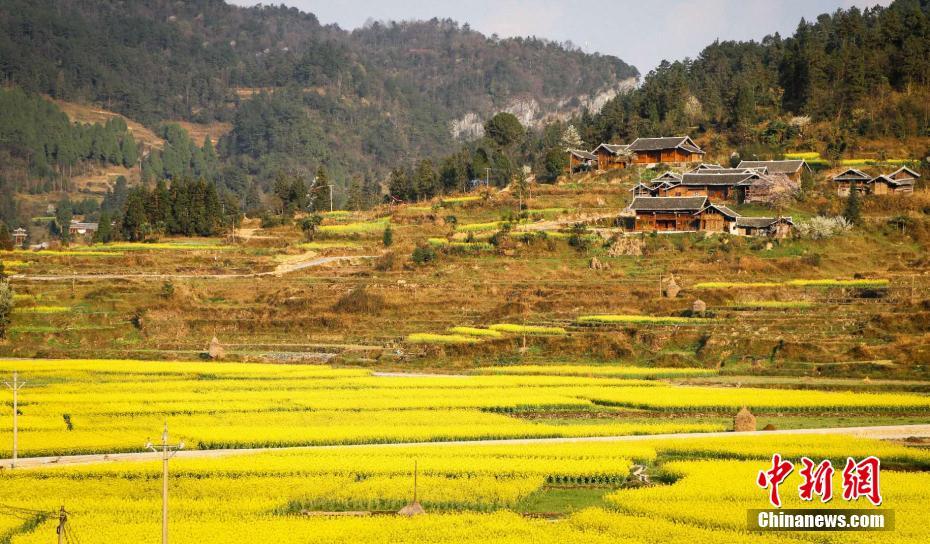 博业体育下载app-“提灯定损”之地探访：村里住着很多陪读妈妈，当地民宿遭大量退订