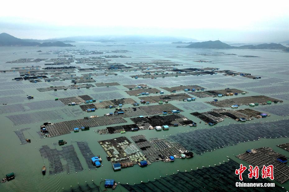 开云电子娱乐-奔流｜陈家泠：祝中法友谊如瓷般坚硬、陶般真诚