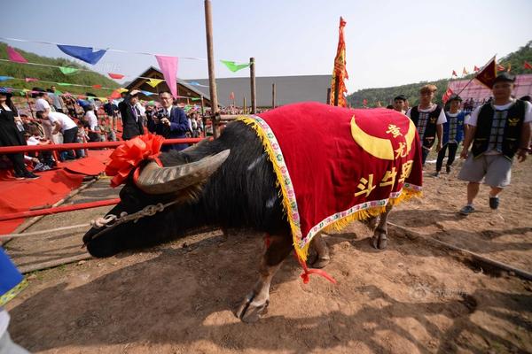 银河游戏娱乐登录-浙大女生23年前写的励志标语火了