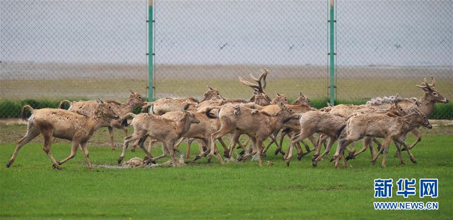 米乐6m官网相关推荐6