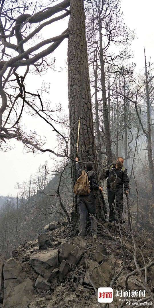 赌钱游戏相关推荐10