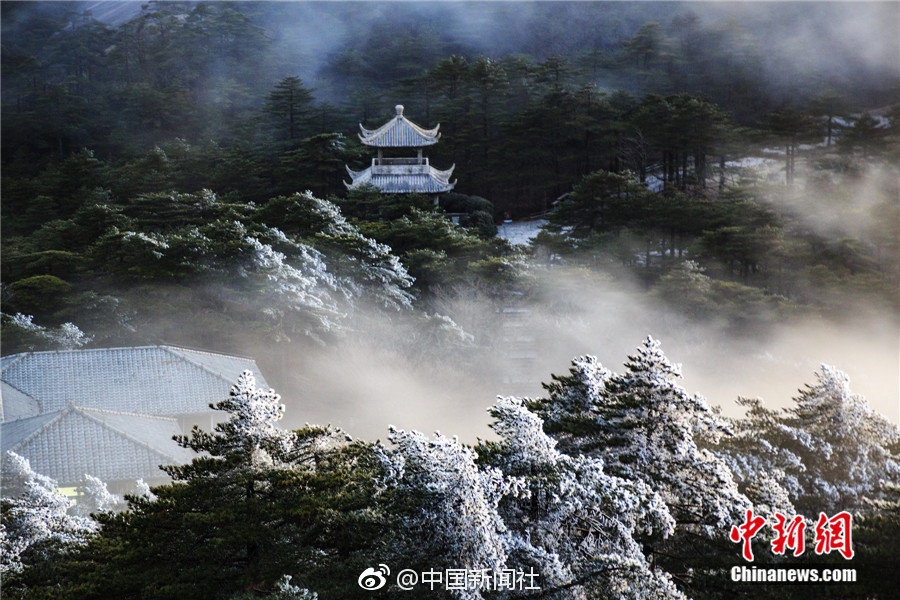 kok电竞首页-如何将旧金山愿景转为实景