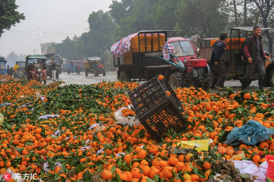 万博游戏app平台相关推荐8