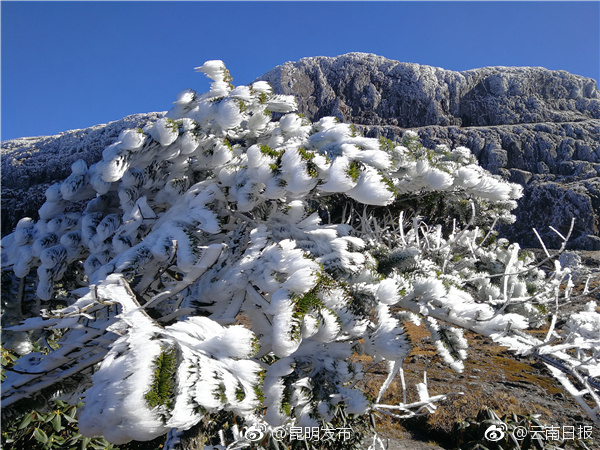 威尼斯888电子游戏-网易回应暴雪国服回归