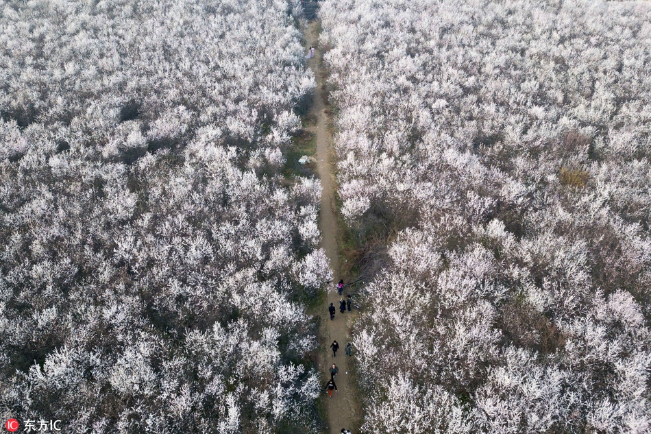 开云体云app官网入口-“提灯定损”之地探访
：村里住着很多陪读妈妈，当地民宿遭大量退订