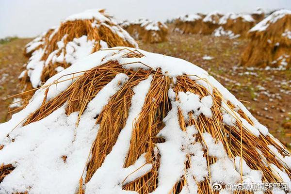 半岛网页版登录入口相关推荐10