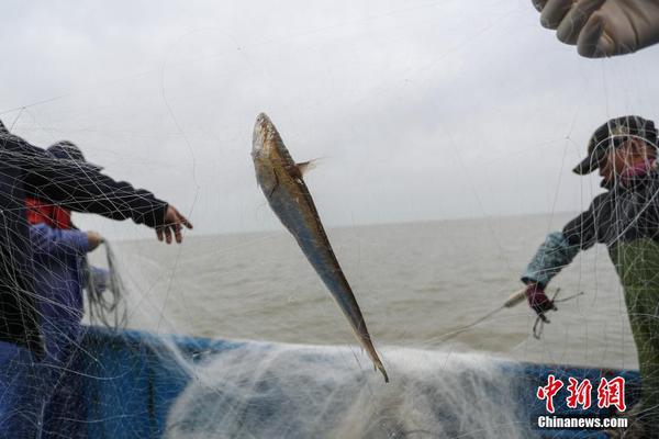 千亿官网登录入口-为什么每天出门的时候我家猫都不会送我
，但是下班却会积极得迎接我�？