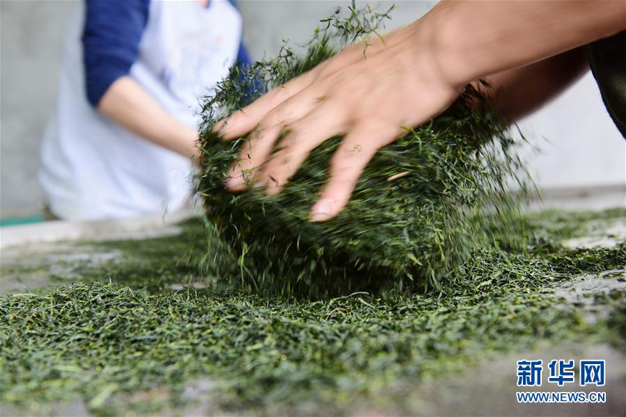 乐鱼在线登录平台-乐鱼在线登录平台