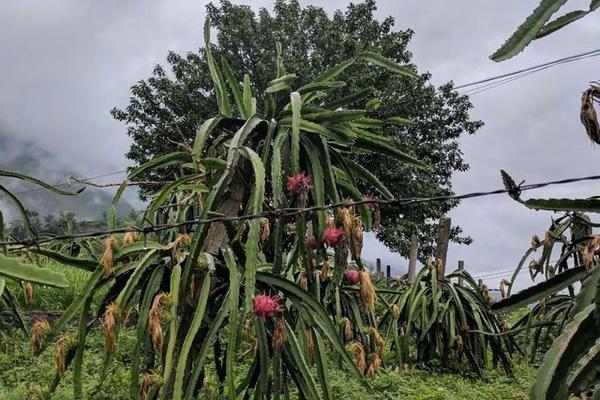 koko平台电竞官网-感动中国 2023 年度人物公布，俞鸿儒、刘玲琍、张雨霏等在列，他们有哪些瞬间让你印象深刻？