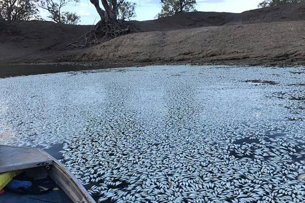 半岛在线体育官网下载-半岛在线体育官网下载