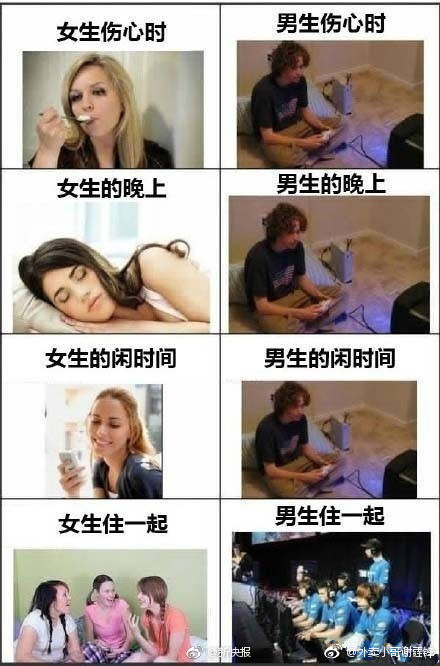 开云体肓app相关推荐7