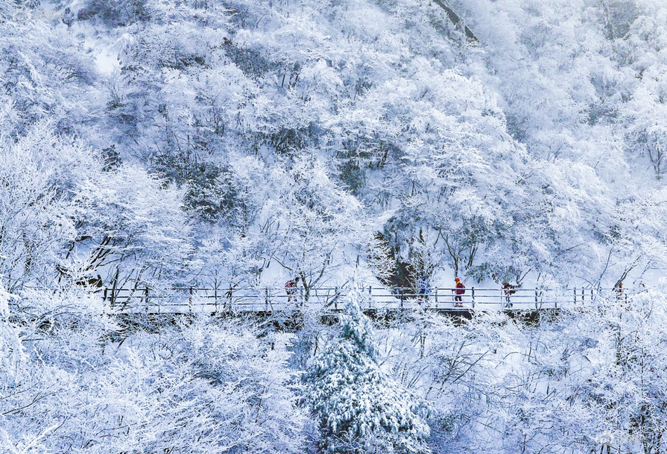 半岛综合平台登录入口