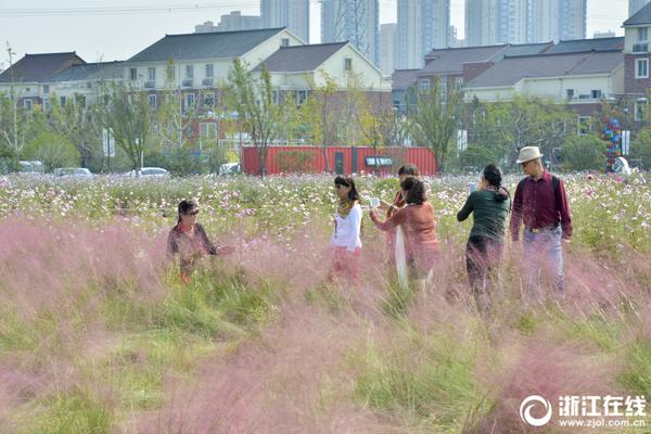 千亿qy88官网-如何看待 2024 年 4 月 8 日 A 股市场行情走势�	
？