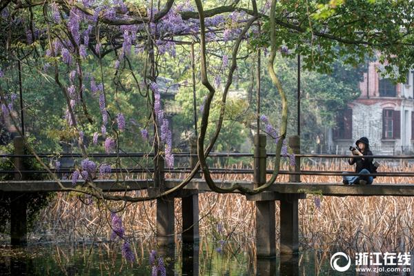 od平台在线登录-od平台在线登录