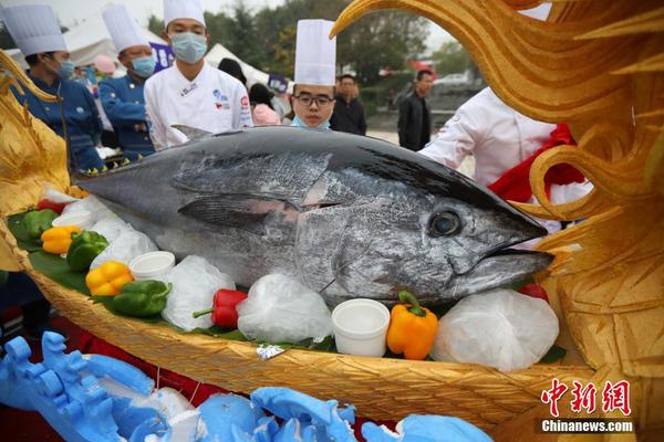 半岛体肓综合下载