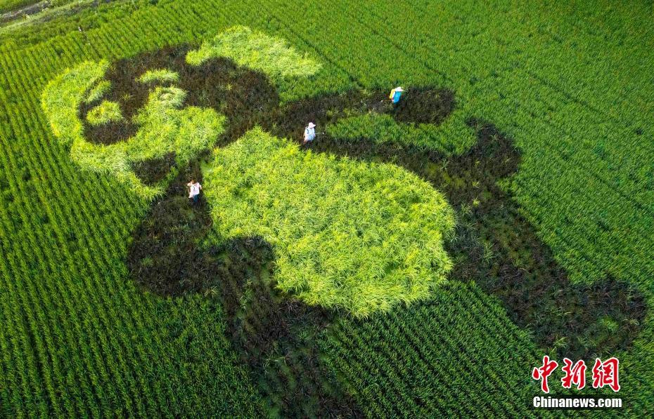 星空官方登录入口-特写｜美食的“门道”：耶伦访华侧记