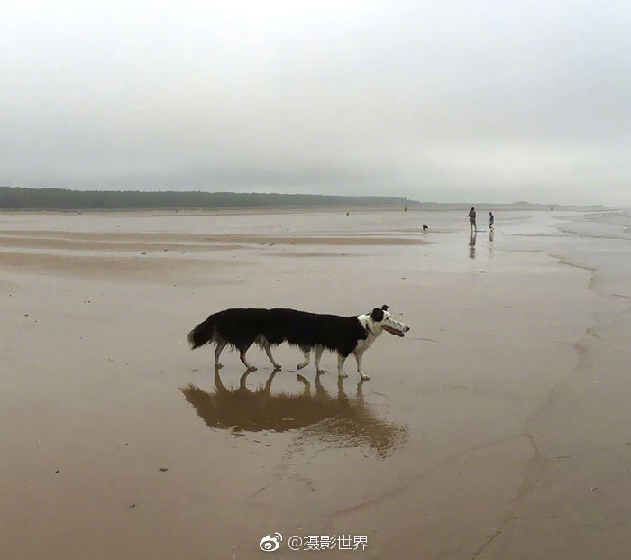 亚美体育官方官网-女子乘自动扶梯上楼半个身子突然被“卷入”
，消防紧急救援