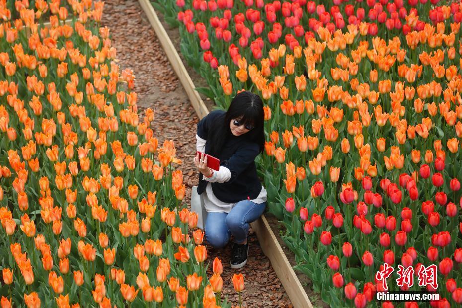 江南官方入口-感动中国 2023 年度人物公布
，俞鸿儒
、刘玲琍、张雨霏等在列，他们有哪些瞬间让你印象深刻
？