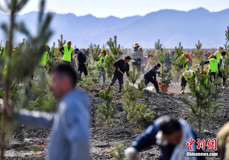 半岛在线体育官网下载