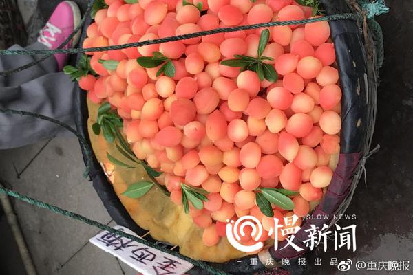 天博克罗地亚登录app相关推荐10