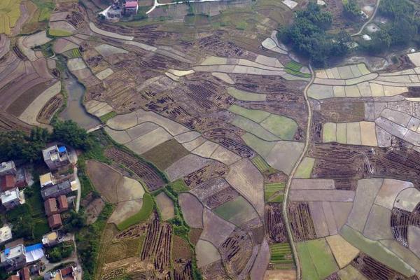 亚星官方平台入口-买金条要等7个工作日