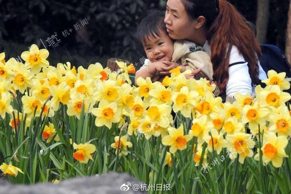 亚搏手机app登录入口-女子因蒜苗被轧怒砸奔驰车�，河南警方：双方就财产损失达成谅解