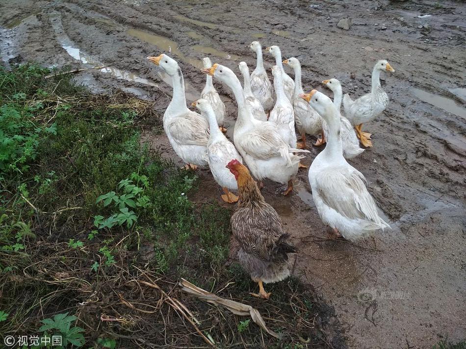 8868体育登陆官网-雨纷纷 我还不想忘记他