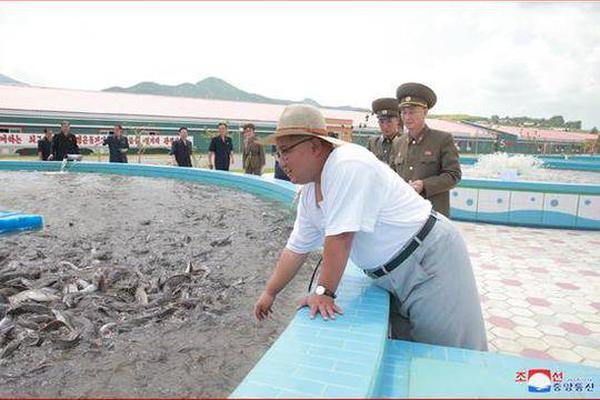 koko平台电竞官网-虐猫考生