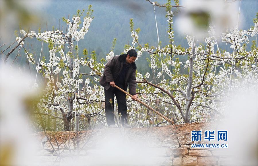 欧宝在线平台官网-欧宝在线平台官网