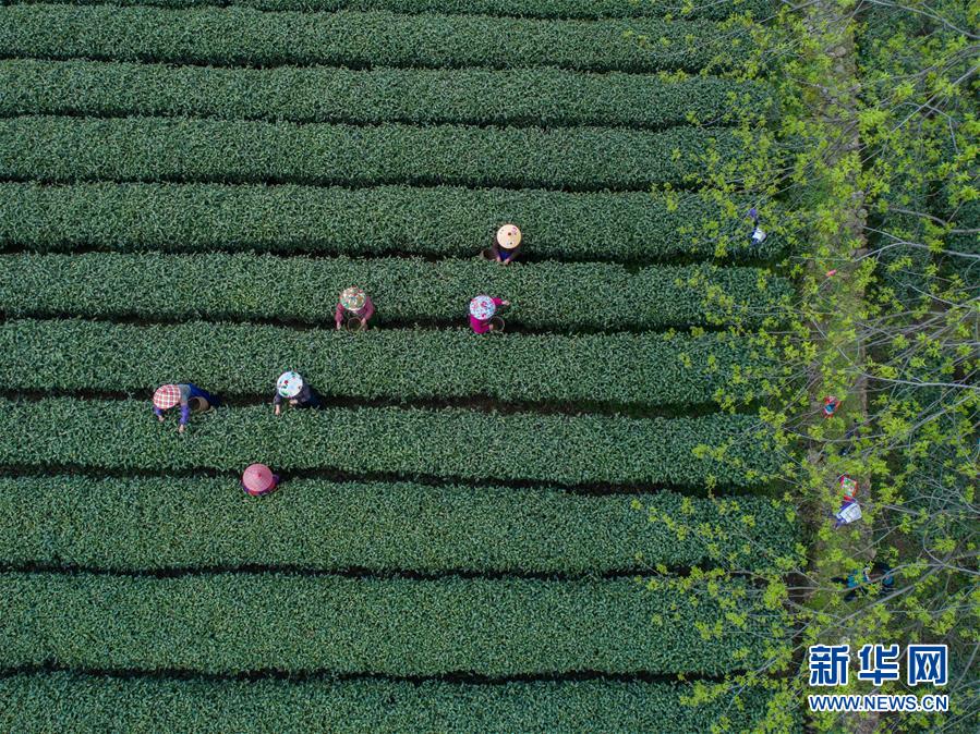 银河十大平台-为什么通勤时间全算个人的