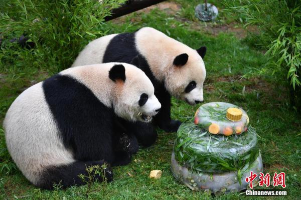 大阳城72138官网-特写｜美食的“门道”
：耶伦访华侧记