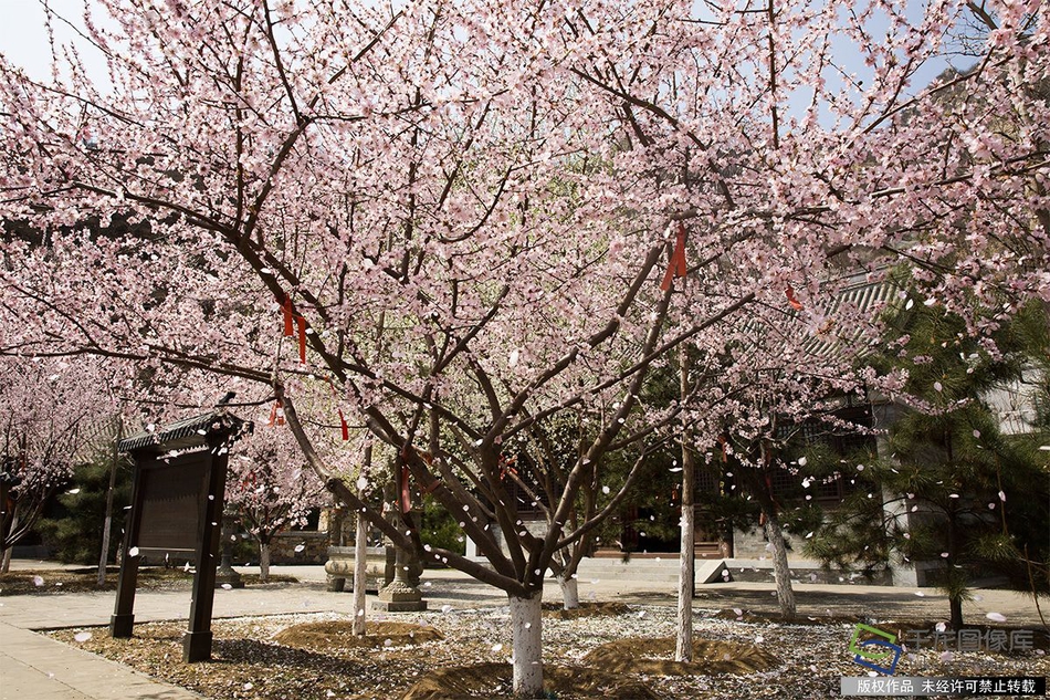 kok最新平台-kok最新平台