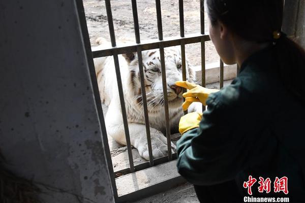 乐冠国际官网地址-俄罗斯远东一地发现放射源