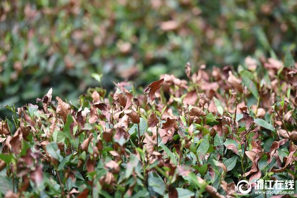 9873.cm银河集团-女子照料10年唤醒植物人丈夫