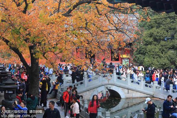 半岛官网在线登录-半岛官网在线登录