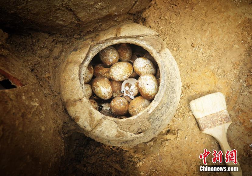 半岛在线登录下载-半岛在线登录下载