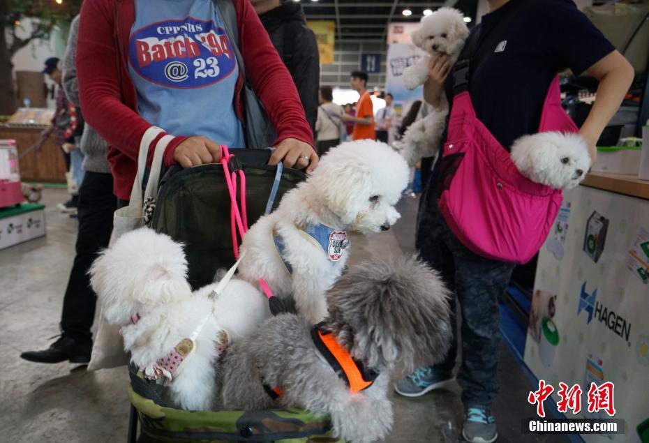 半岛网页版登录入口相关推荐9