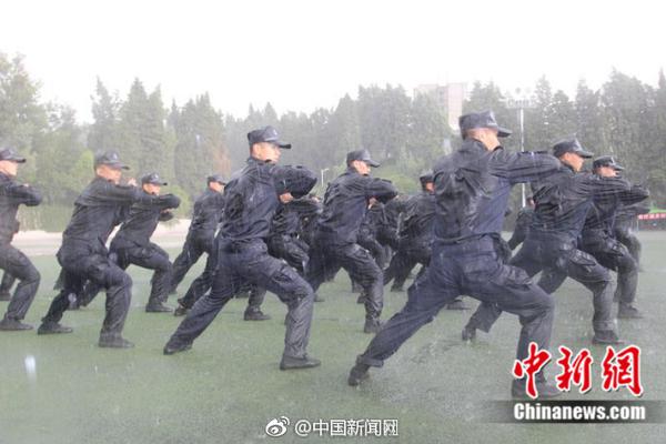 半岛星空体育-高强度一周减肥饮食