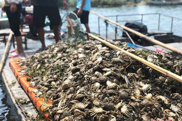 开云苹果版下载安装相关推荐6