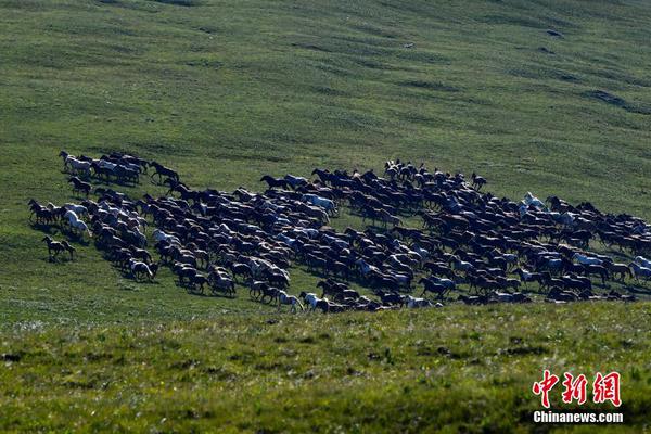 江南官方入口-陕西	，又一个500亿区县呼之欲出？