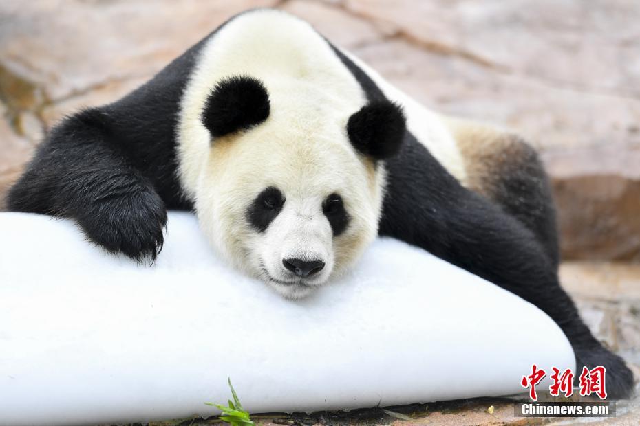 开云app苹果下载-央媒评初中生遇害案嫌疑人被追刑责