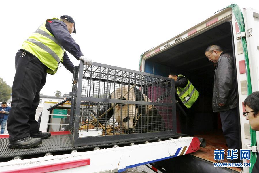 大阳城集团娱乐游戏手机版-马英九参访西安国家版本馆，盼中华文明照亮民族未来