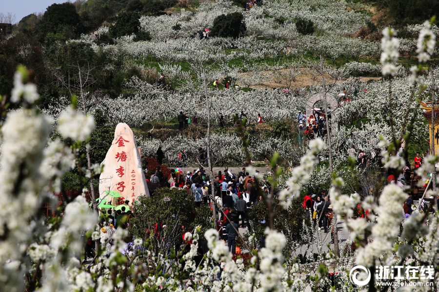 开云app在线下载开云相关推荐10