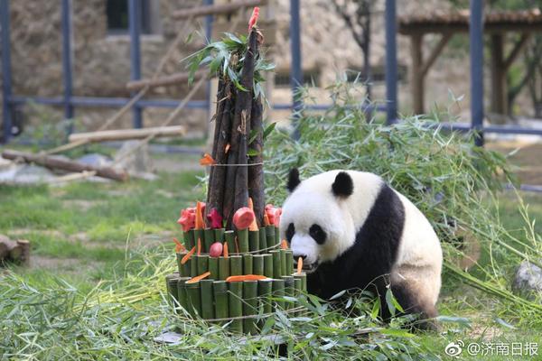 下载8868平台-胡锡进希望社会给虐猫考生其他通道